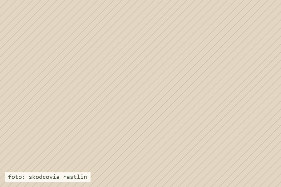 Škodcovia izbových rastlín a prírodná ochrana